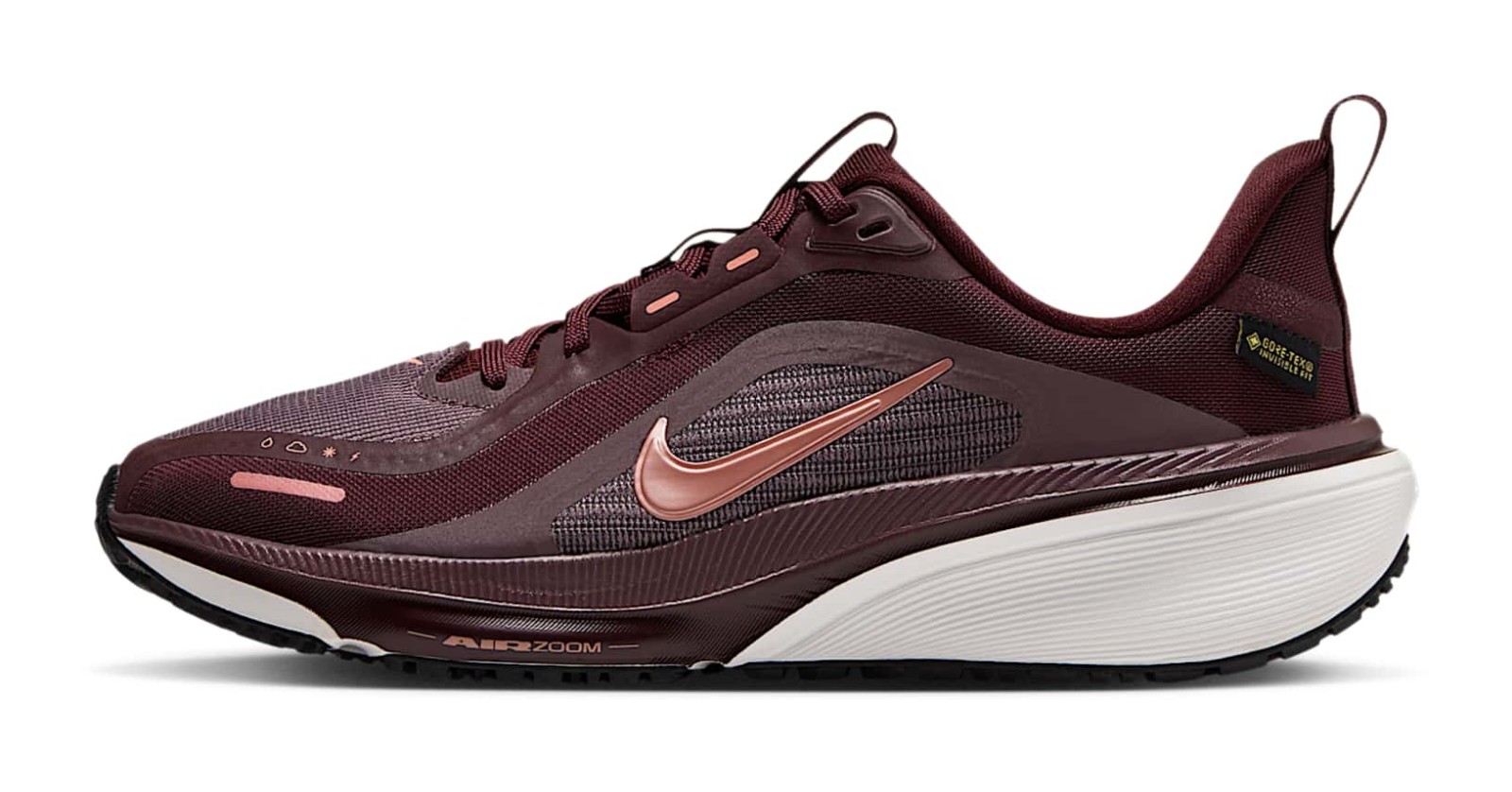 Nike Pegasus 42 GTX