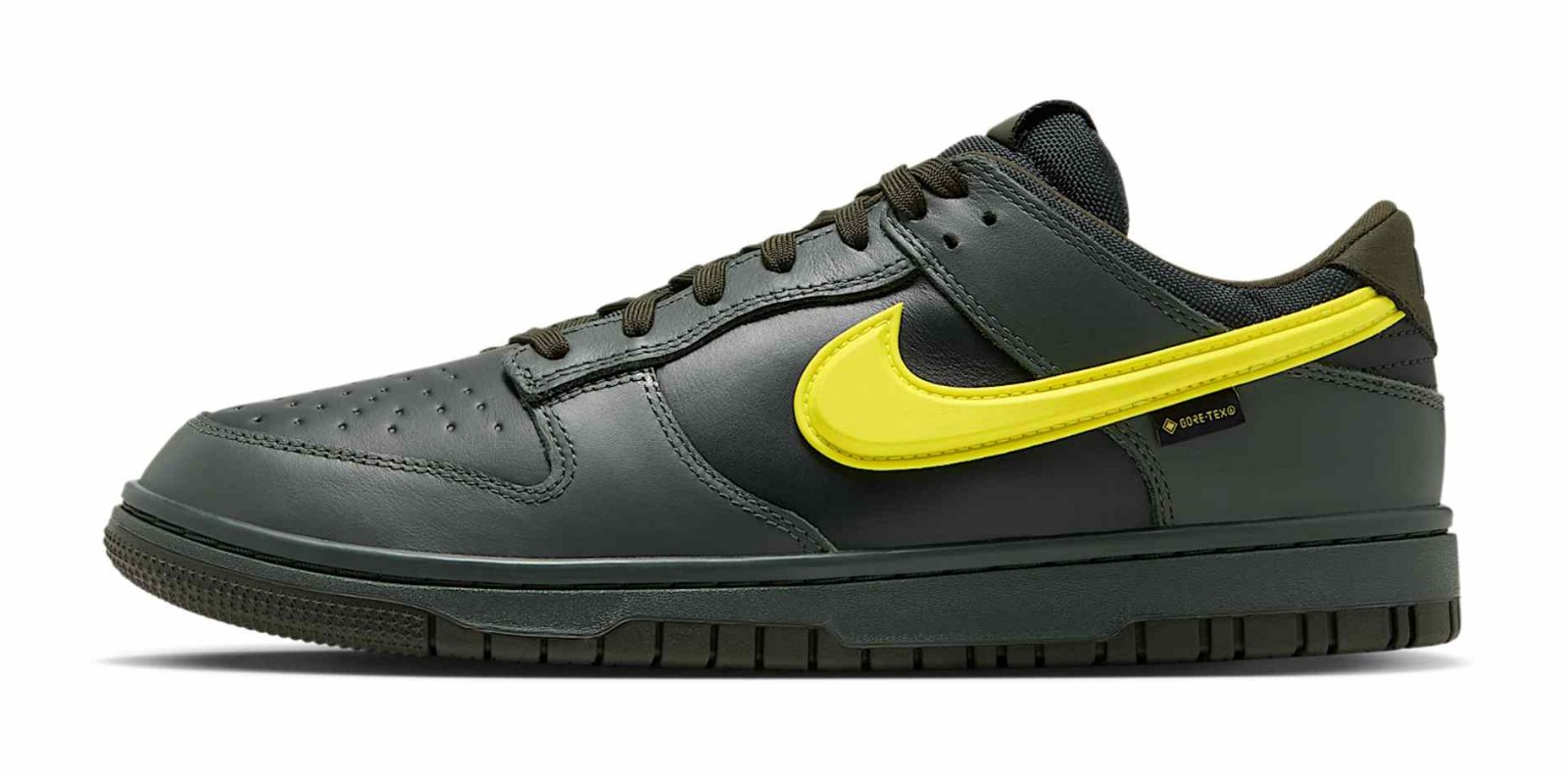 Nike Dunk Low GTX