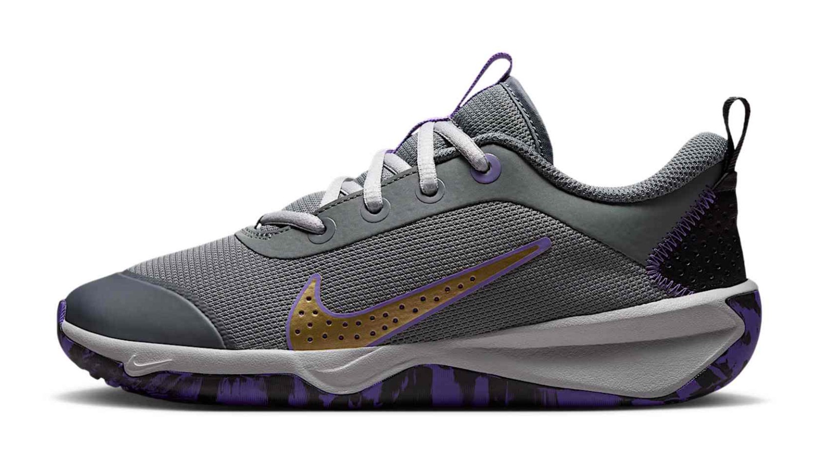 Nike Omni Multi-Court