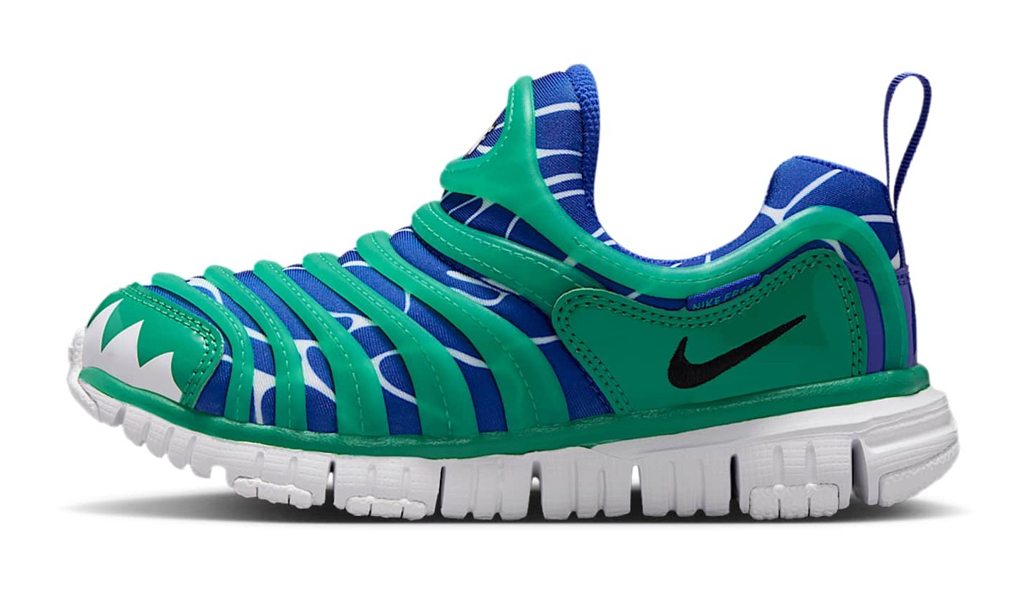 Nike Dynamo Free