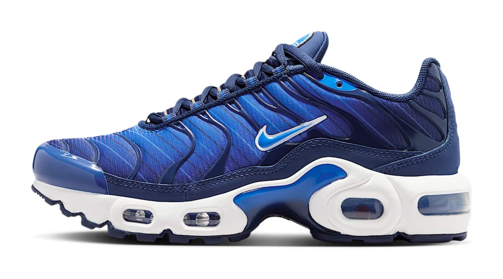 Nike Air Max Plus SE
